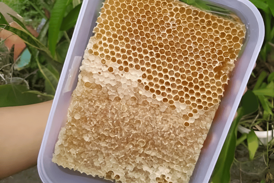 Manfaat Lengkap Madu Super Madusamsi dan Panduan Konsumsi untuk Kesehatan Optimal