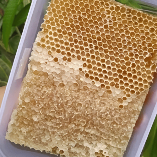 Manfaat Lengkap Madu Super Madusamsi dan Panduan Konsumsi untuk Kesehatan Optimal