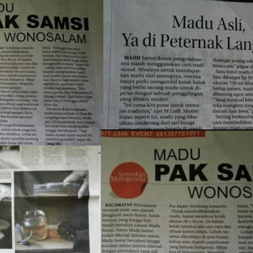 Mengungkap Rahasia Madu Asli dan Murni Langsung dari Peternak di Wonosalam